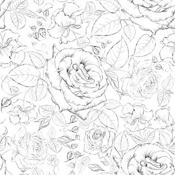 Rose seamless. Stock Illustration