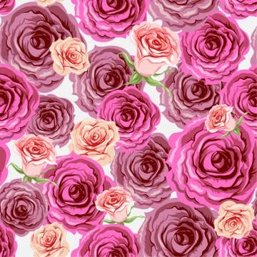Rose seamless pattern Stock Illustration