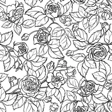 Rose seamless pattern Stock Illustration