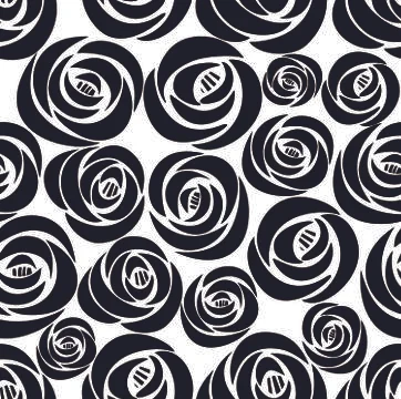 Rose seamless pattern. Stock Illustration
