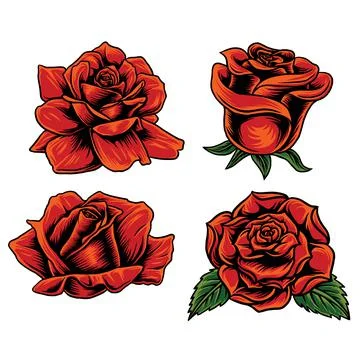 Rose set Stock Illustration