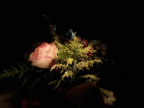 A rose on the side Stock Photos