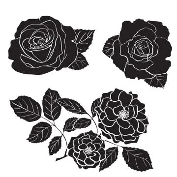 Rose silhouettes Stock Illustration