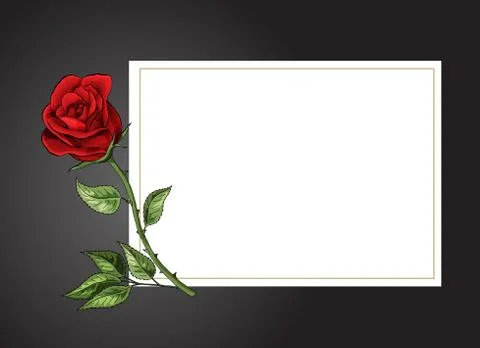 Rose single flower on white background with black border vector template Stock Illustration