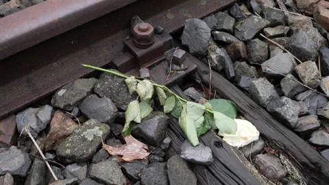 Rose sitting on the train tracks, Platform 17 Memorial in Berlin, Germany. 스톡 동영상 265184642