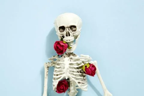 Rose skeleton Stock Photos