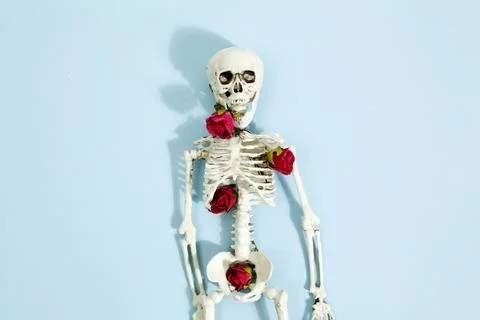 Rose skeleton Stock Photos
