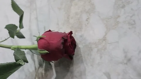 A rose slides on a marble surface 库存影片 200205536