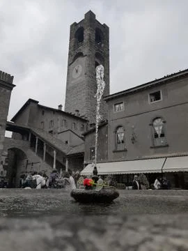 Rose in square Vecchia Stock-Fotos