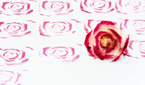 Rose stamp with cabbage Stock Photos