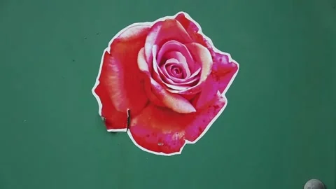 Rose Sticker on Green Garbage Can (Gritty Urban Street Art)  Video stock 219374237