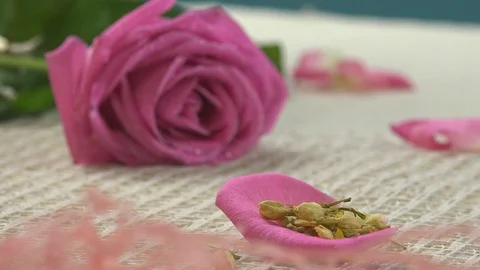 Rose on Table Stock Footage 96146996
