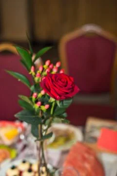 Rose on a table. Stock Photos