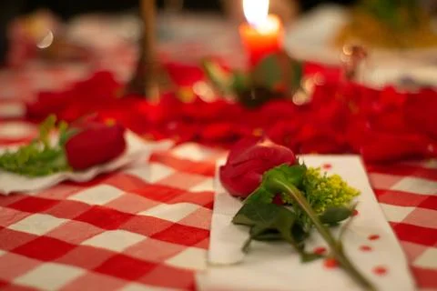 Rose on table Stockfoto's