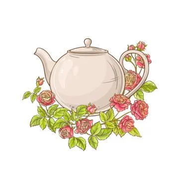 Rose tea vector illustration Stock Illustration