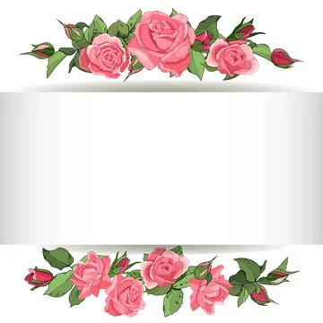 Rose template isolate on white for gift boxes, greeting cards, announcements, Stock Illustration