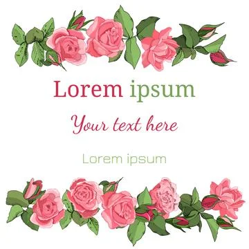 Rose template isolate on white for gift boxes, greeting cards, announcements, Stock Illustration