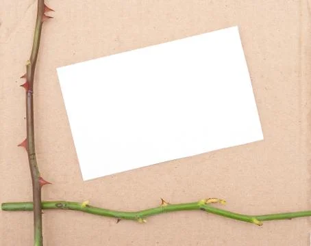Rose thorn with card Stock Photos