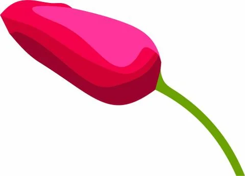 Rose tulip eps vector Illustrazione stock