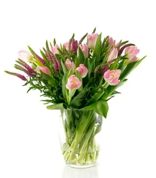 Rose tulip Stock Photos