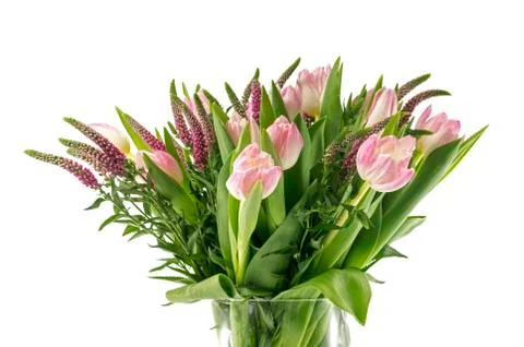 Rose tulip Foto stock