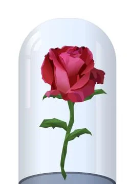 Rose under glass. Stock Illustration