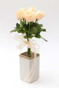 Rose in vase Stock Photos