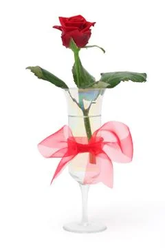 Rose in vase Stock Photos