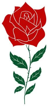 Rose vector with abstract branch and jagged leaves in red and dark green. Stock Illustration