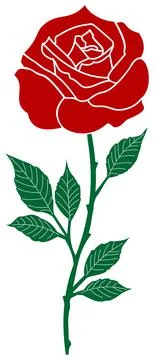 Rose vector with abstract branch and jagged leaves in red and dark green. Stock Illustration