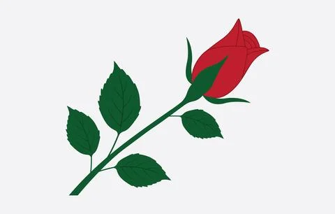 Rose Vector Art Illustration Isolated on white background Stock Illustration
