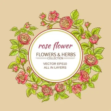 Rose vector frame Stock Illustration