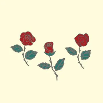 Rose vector Stock Illustration