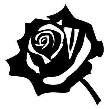 The rose vector illustration design Stock Illustration