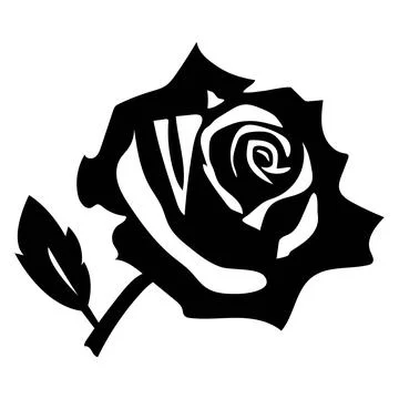 The rose vector illustration design Stock Illustration