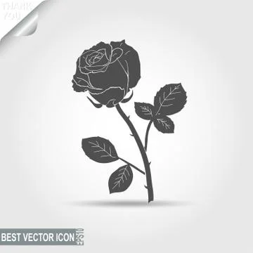 Rose - vector illustration Stock Illustration