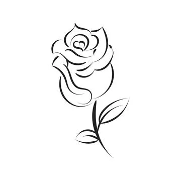 Rose Vector Image. Line Art Tattoo. Stock Illustration