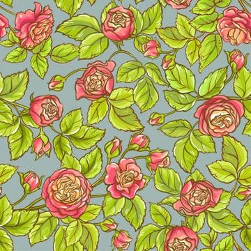 Rose vector pattern Illustrazione stock