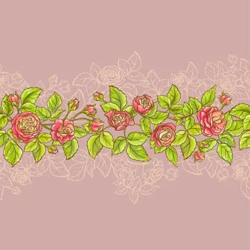 Rose vector pattern Stock Illustration