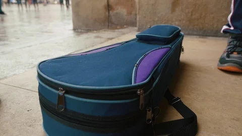 Rose on violin Stock Footage 105475326