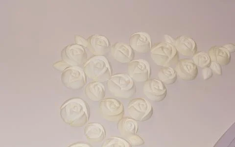 Rose on the wall for a background image. Stock Photos