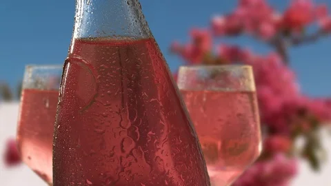 Rose wine bottle Vidéo 75801428