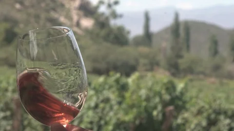  rosé wine in cellar with vineyards and mountains in the background Stock Footage 123799989