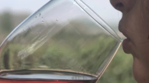  rosé wine in cellar with vineyards and mountains in the background Stock Footage 123799996