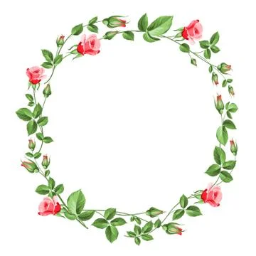 Rose wreath isolated on white Stock Illustration