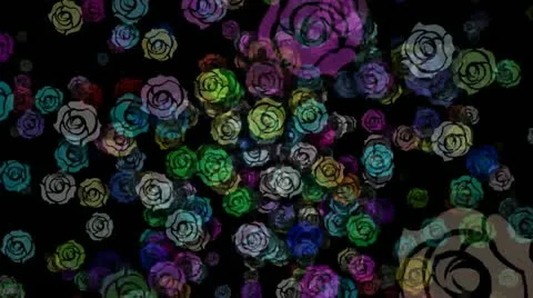 Rose1 Video stock 21836596