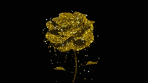 Rose2 RGB Alpha Stock Footage 232967795