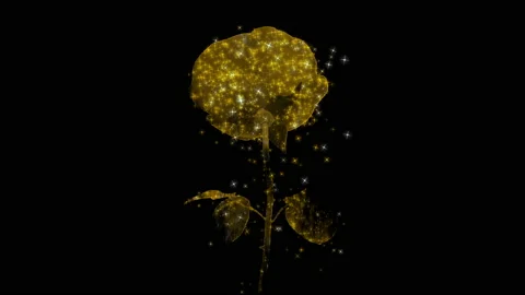 Rose3 RGB Alpha Video stock 232984431