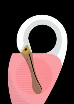 Roseate spoonbill Stock Illustration