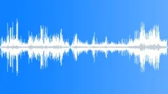 Roseate Tern Calls InSound Effect